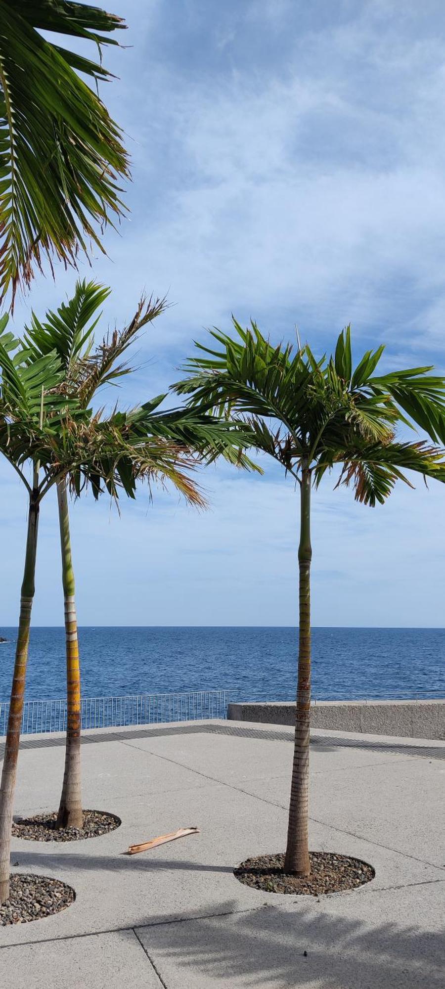 Vivienda Vacacional Atlantida カンデラリア エクステリア 写真